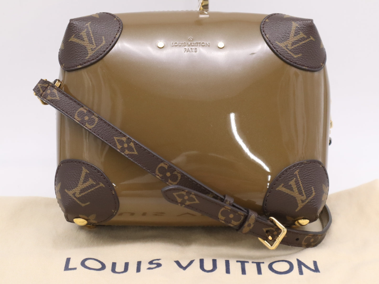 Louis Vuitton Venice Shoulder bag Strap and dust bag included