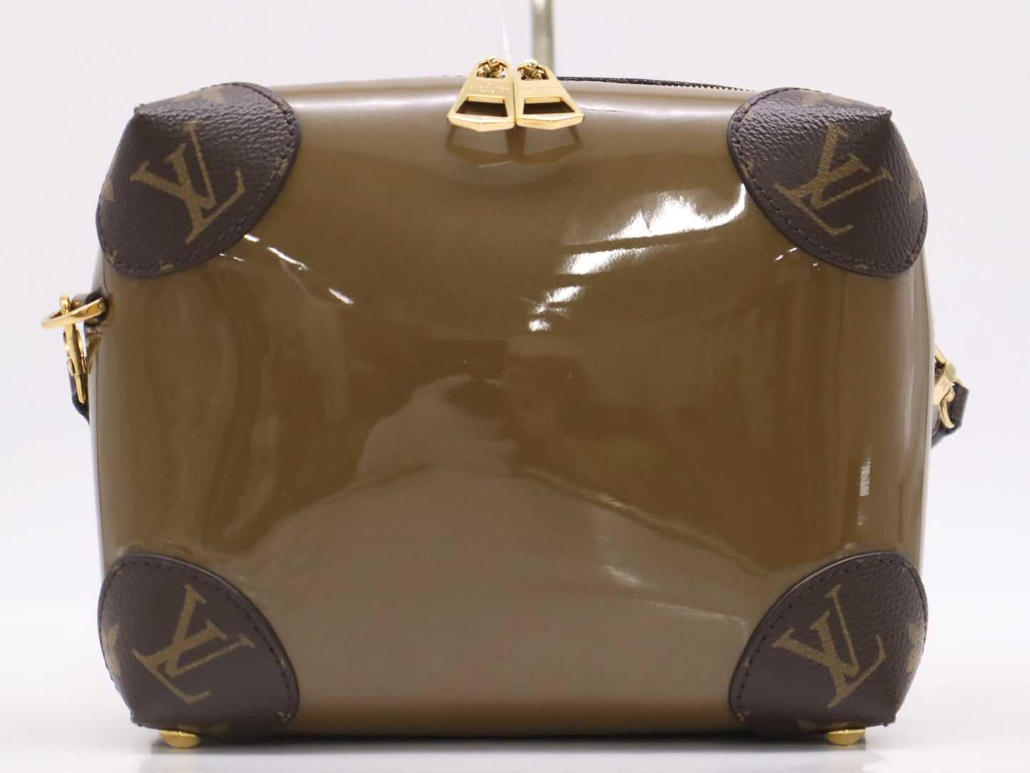 Louis Vuitton Venice Shoulder bag Strap and dust bag included